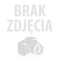 FrSky antena odbiornika 900MHz IPEX1 100mm T-Spring